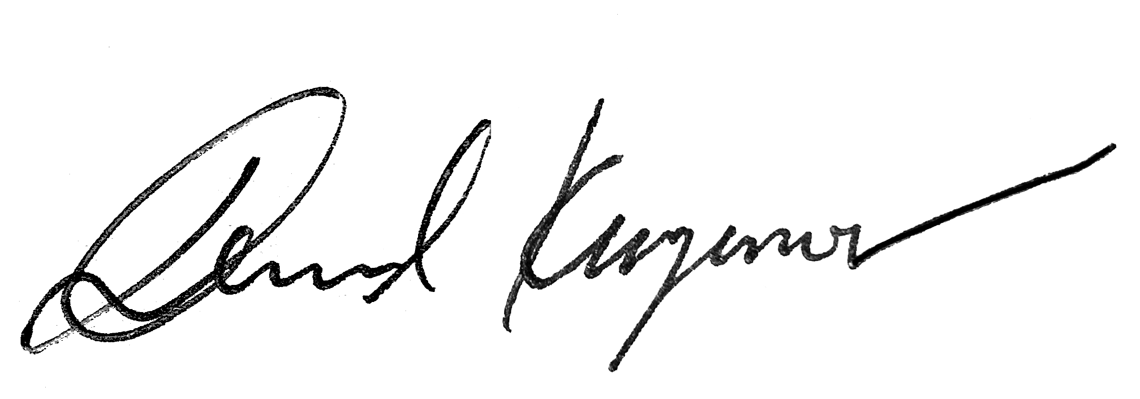 Daniel Kurganov's handwritten signature